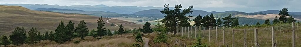 path into distance